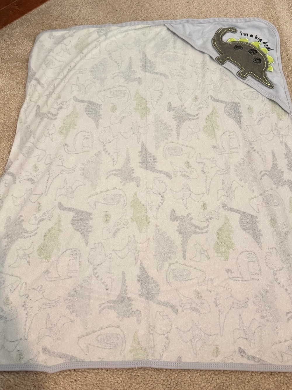 Baby Hooded Towel with Dinosaur